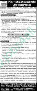 Emerson University Multan Jobs
