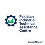 PITAC Visiting Faculty