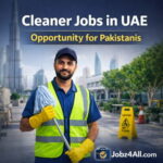 Great View Overseas Employment Promoter