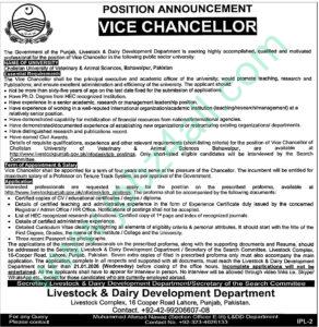 Vice Chancellor Jobs